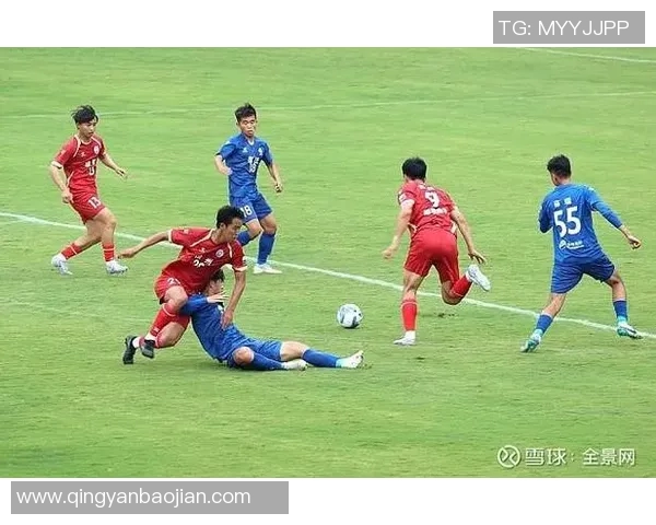 全球足球明星全景介绍及其成就与影响力分析