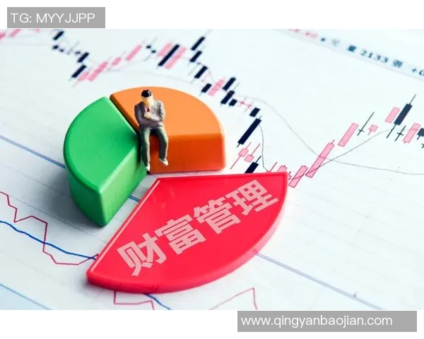 什切青波贡对决精彩回顾与未来展望分析