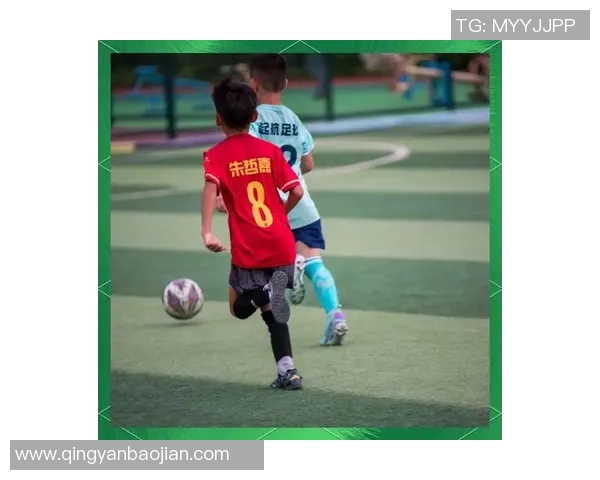 中国足球球迷的热情与坚持在绿茵场上的感人故事与未来展望