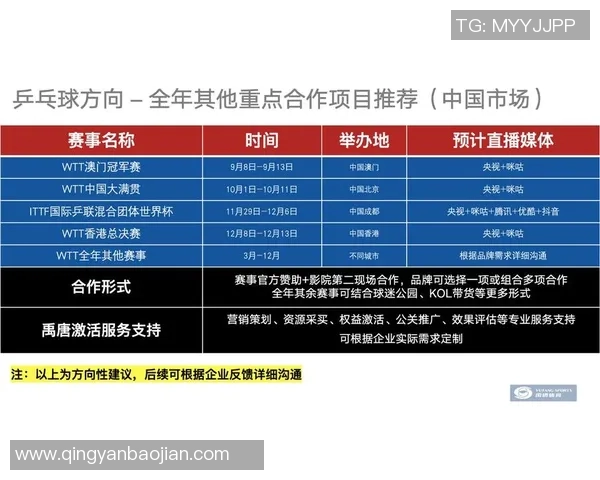中国知名体育品牌全景解析及其市场影响力探讨