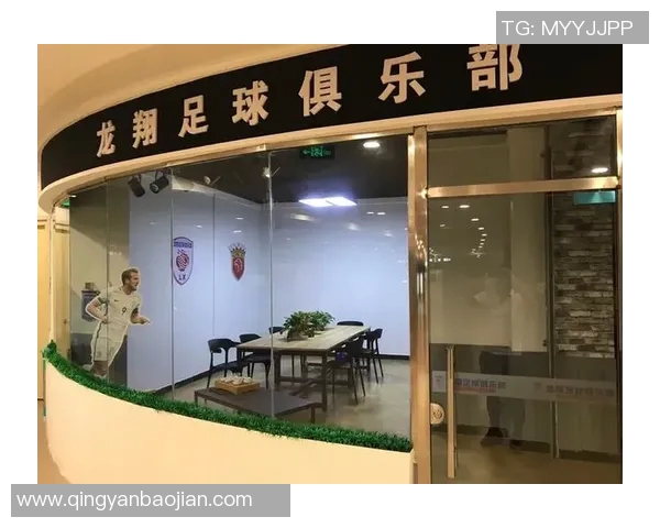 体育培训公司经营范围的全面解析与市场前景展望