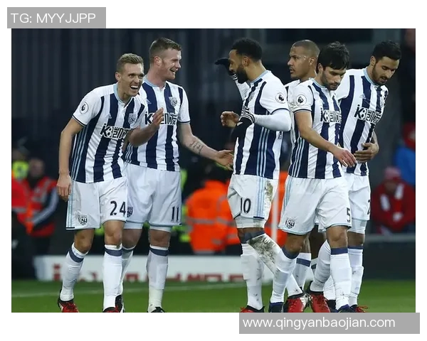 弗格森在2016年欧洲杯决赛中的战术布局与球队表现分析